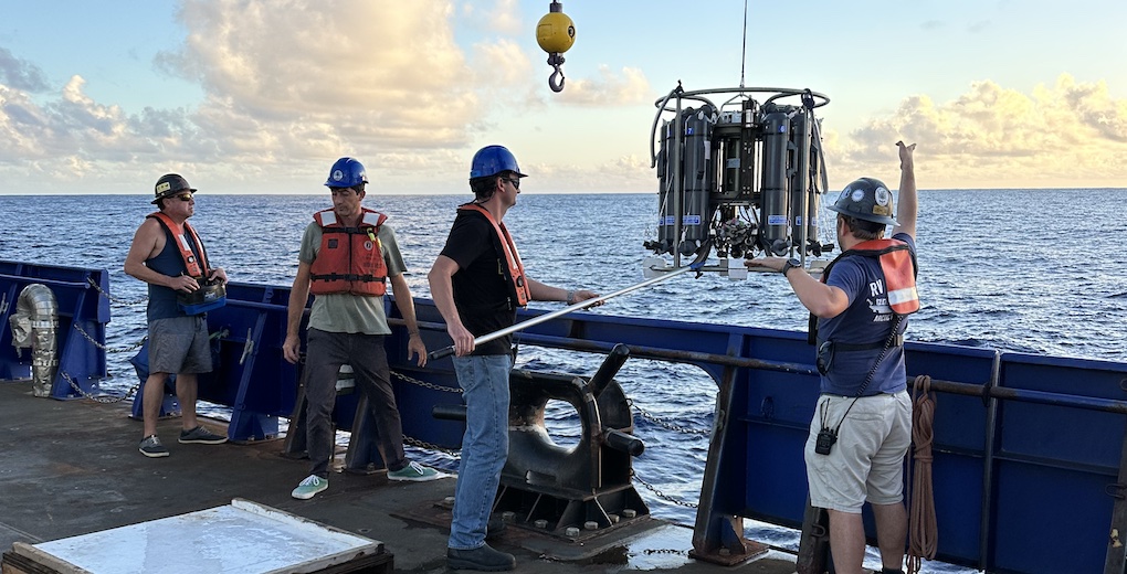 Four men stand at a blue railing, lowering scientific equipment into the ocean.