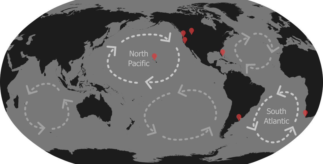 Dashed lines with arrows indicate the location and direction of rotation of the subtropical gyres in the North and South Atlantic, North and South Pacific, and Indian Oceans.
